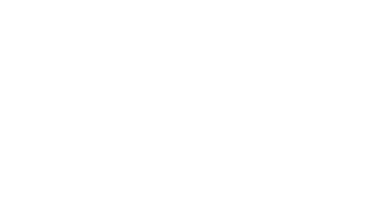 CD81LGS1